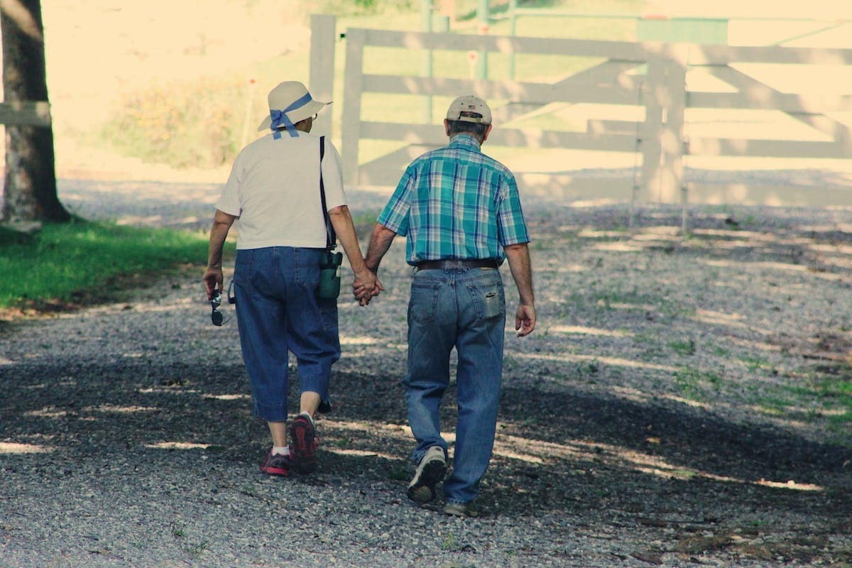 Optimisation naturelle de la santé cérébrale chez les seniors : Le rôle clé des nootropiques