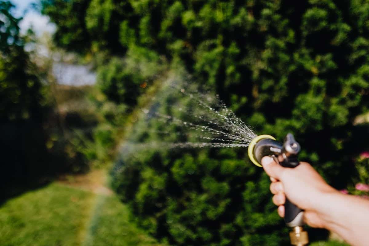 L’importance cruciale des systèmes d’irrigation automatiques pour l’entretien optimal de votre jardin