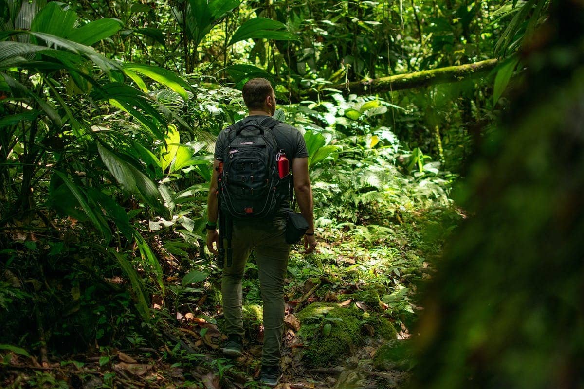 Hébergement éco-responsable et voyage durable : une révolution dans le secteur du tourisme