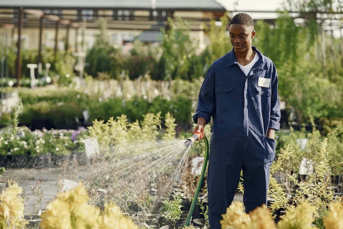 jardinage thérapeutique